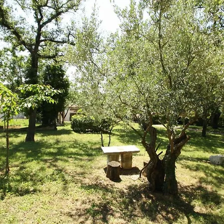 Gasparini - Hr-11046-01 By Interhome Casa vacanze *